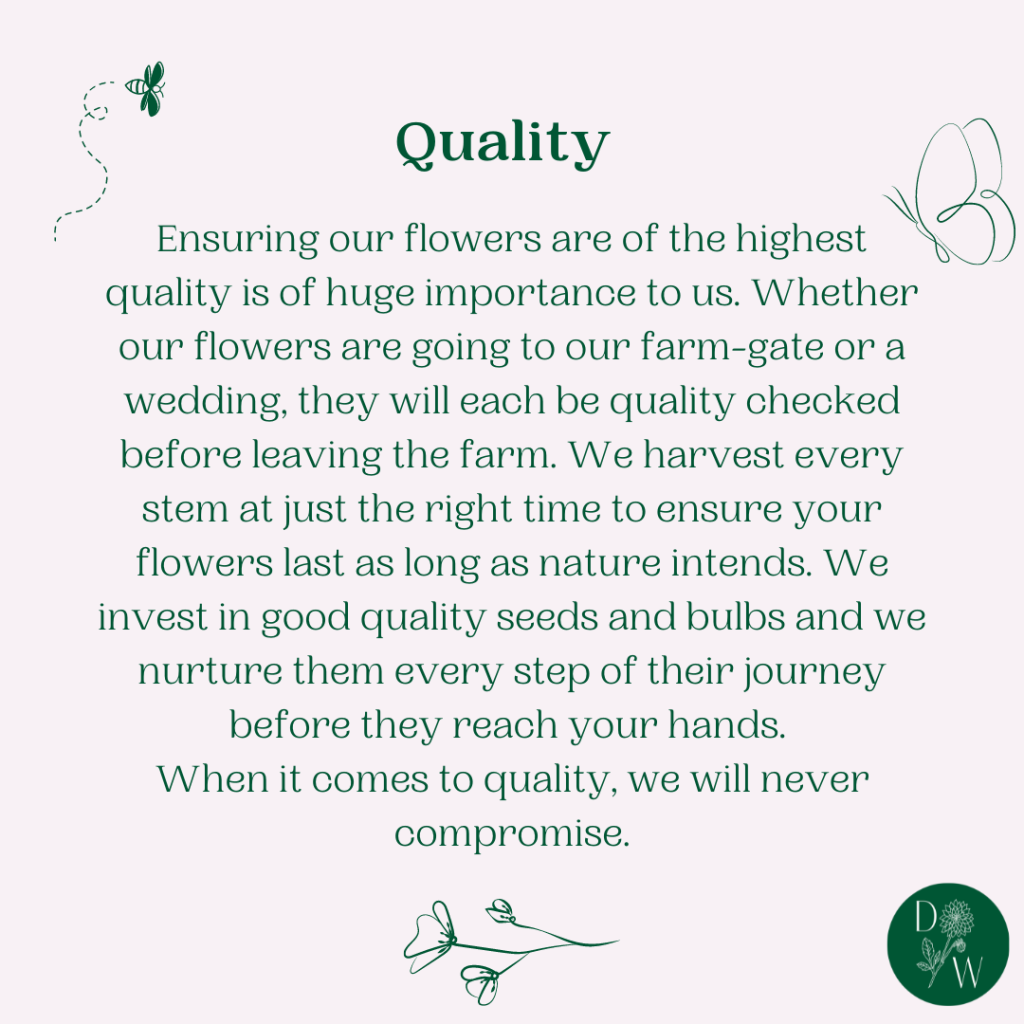 The Dahlia Wood Values - Quality